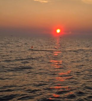 Sunset on Lake Erie, Michigan