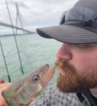 Casting where walleye gather