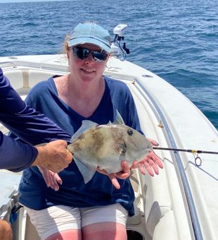 Inshore fishing for triggerfish! Best florida trip