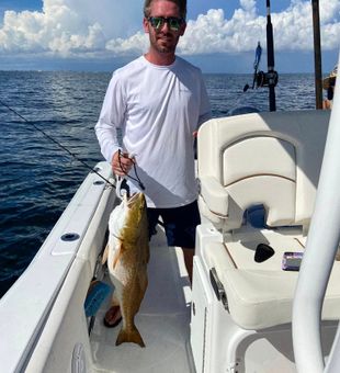 Red Drum, The Thrill of Florida Fishing