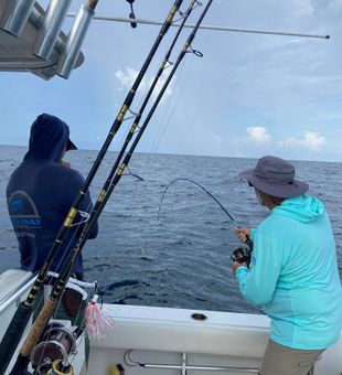 Caught in action! Fishing Panama City, Florida