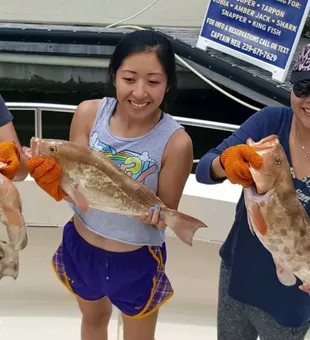 Fort Myers Grouper Bonanza