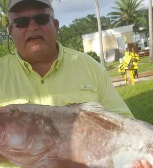 Massive Grouper Catch In Fort Myers, FL