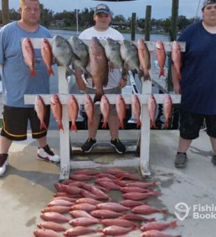 REEL Viking Charters