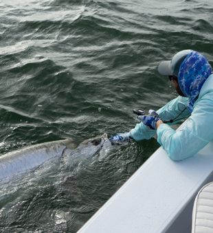 Tarpon fishing
