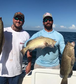 Experience the thrill of offshore fishing!