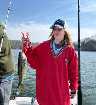 Nice spotted bass caught in Gainesville GA!