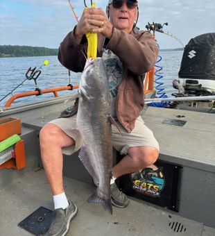 High Rock Lake fishing action is live!