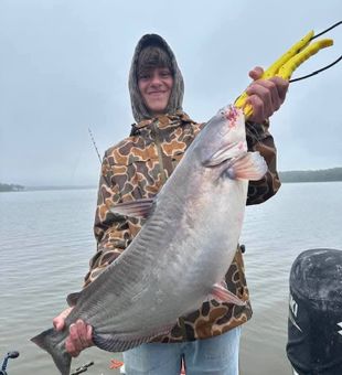Blue catfish making a splash in Mocksville NC!