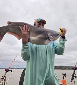 Big catfish action on High Rock Lake near Mocksville, NC. Heavy lines, deep water, and powerful fights with trophy blue cats.