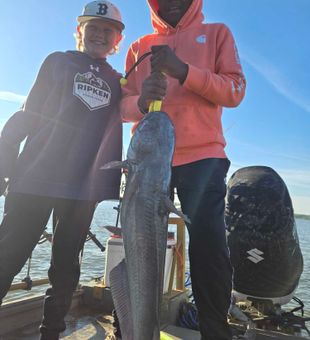Blue catfish success in Mocksville NC waters!
