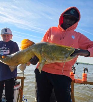 Monster flathead catfish from Mocksville NC waters!