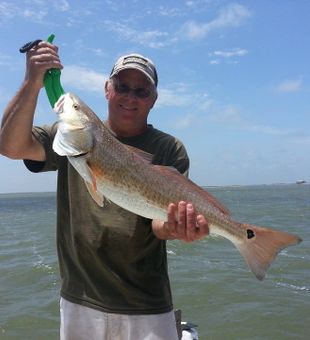 Beautiful Redfish in display!