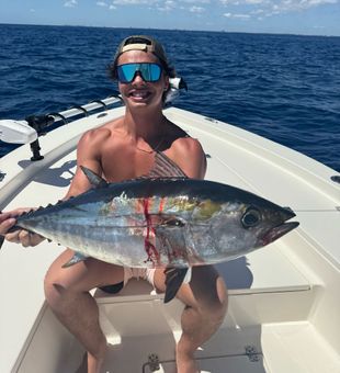 This Blackfin fell for a live Sardine!