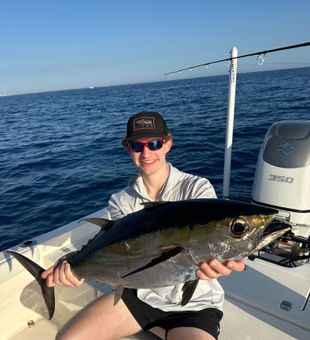Topwater blackfin!