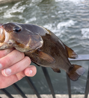 Clear skies and light tackle: the perfect recipe for fishing success!