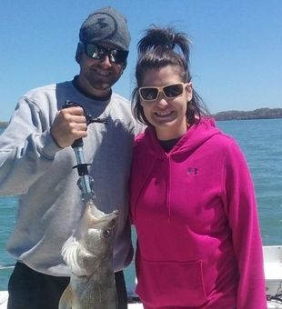 Heavy Walleye hooked in Lake Erie!