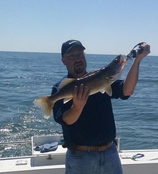 Nice Walleye catch in Lake Erie
