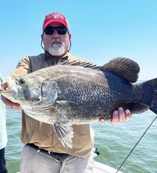 New personal best in Black Drum Fishing