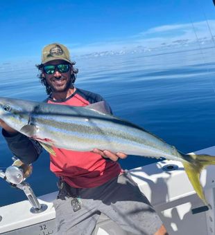 Rainbow Runner in Florida