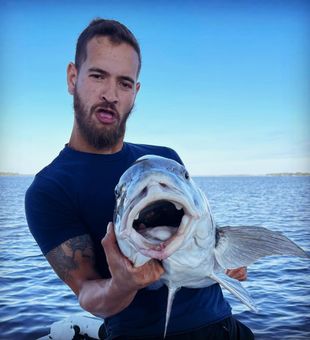 Black Drum in Florida