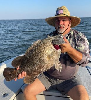 Black Drum Fishing in Florida