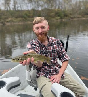 Misty morning, trout serenade