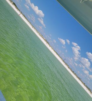 We also do a lil Island time @ shell island