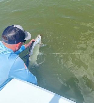 Tarpon Fishing Charters in Florida