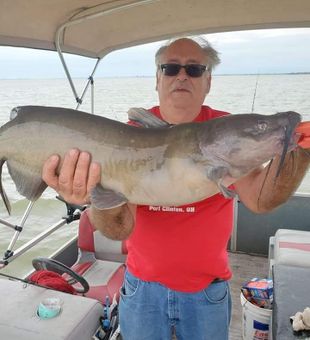Monster Catfish!