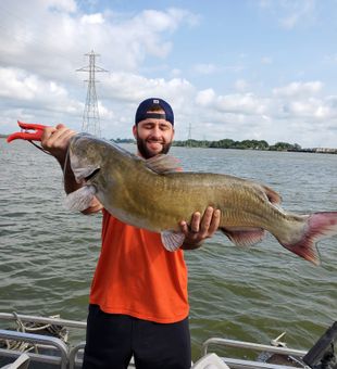 Giant Catfish in Port Clinton, OH!
