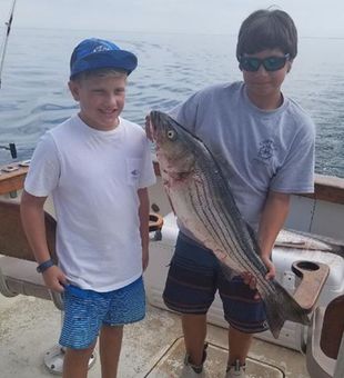 Striped Bass Fishing bliss in Massachusetts.