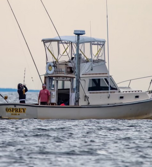 Osprey Sportfishing