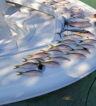 Pompano Beach fishing charters await, Snapper 2023