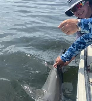 Shark release success in Key Largo!