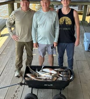 Wagon full of fish! Golden Meadow, LA