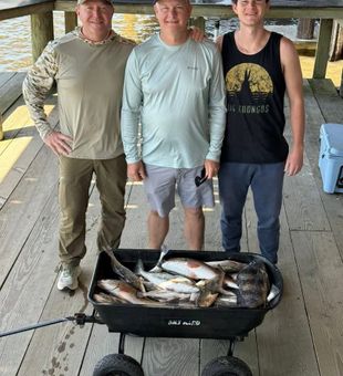 Golden Meadow redfish filling up the cart!