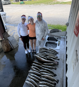 Golden Meadow speckled trout ready for cleaning!