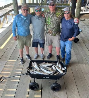 Reel in South Louisiana's best catches