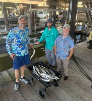 Trophy fish in Louisiana waters