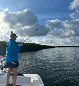 Exploring the magic of Crystal River fishing