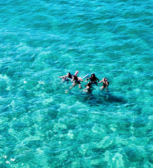 Explore The Crystal Clear Waters Of Palm Beach