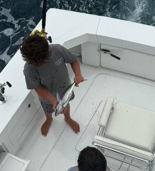 Just another catch after the other.