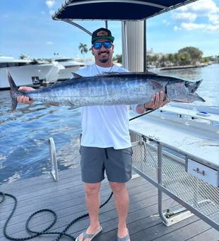 Beautiful Boynton Beach wahoo makes for an incredible catch!