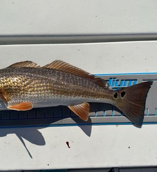 Sunshine and serenity on a fishing trip