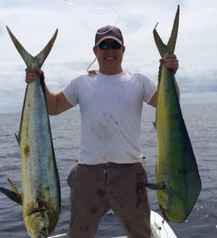 Mahi Mahi Fishing in North Carolina