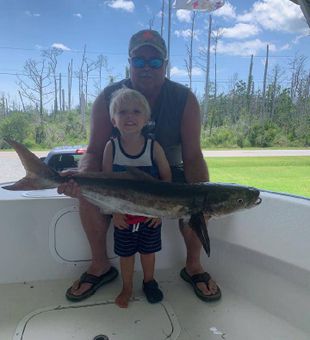 Cobia Fishing