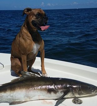 Set sail with Reel Good Times in Florida!