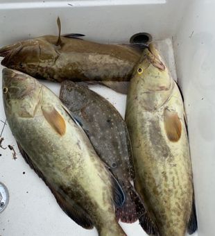 Grouper Day - Hudson, FL.