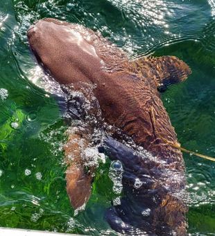 Teaching the next generation to fish in Hudson, FL—where every cast brings laughter and lasting family memories.
